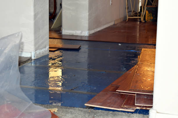 Professional Water Damage Restoration technician working in Belmont, CA